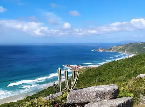 6.2.1 Trails for Beginners 3.webp