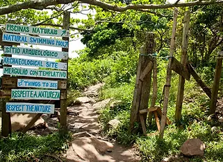 6.2 Trails (fixed page) 5.webp