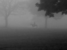 A Balada do Rohirrim - Cap 3 - O fantasma do Eorlinga