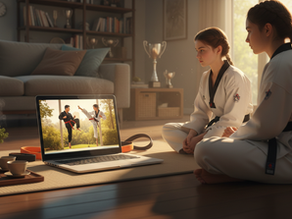 Understanding Online Martial Arts Learning