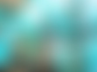 The Inspiring Journey of Jesus 'The Dog' Guzman: From Argentina to the Cage Spotlight