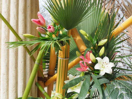 Ikebana exhibition, Budapest