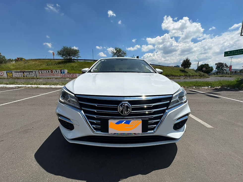 Imagen de WhatsApp 2025-09-13 a las 13.56_edited.jpg