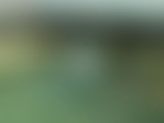 Focus WTV 25/05/2020