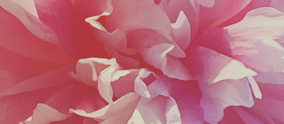 Creativity is not a luxury