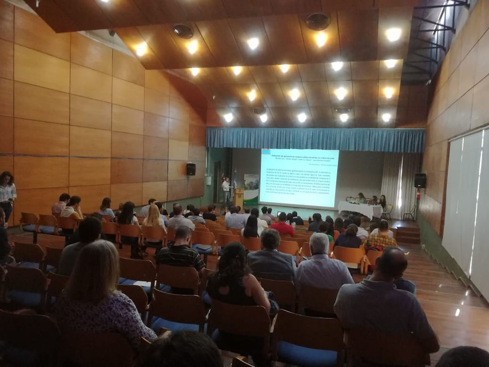 JORNADAS SUELOS 11