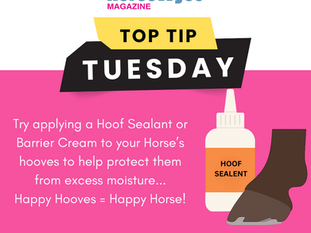 Top Tip Tuesday – Keep Those Hooves Dry & Happy! 