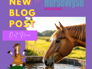 Beat the Heat: Managing Your Horse This Summer