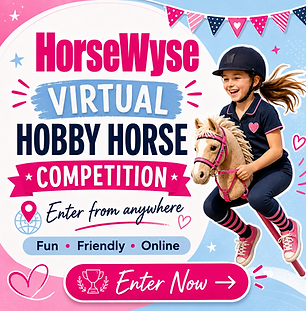 hobby horse2.png