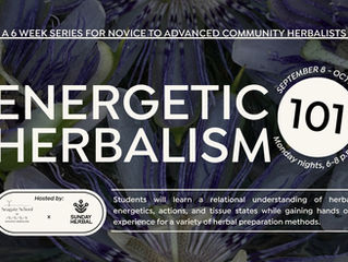 Why Practice Energetic Herbalism and What is Index Herbalism?