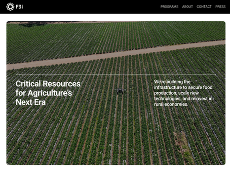 F3i.org Publishes New Website