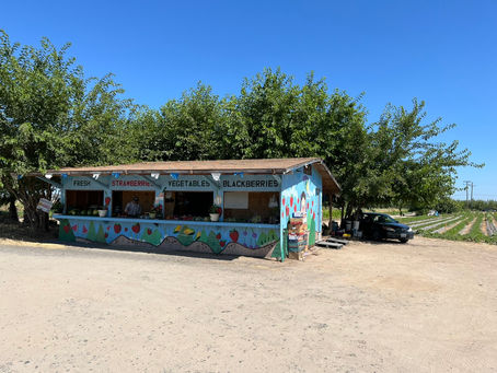 Bolstering Rural Food Economies and Connecting Community through Agritourism
