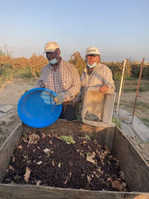 Grower Albert Smith (left) stands in front of his harvest of raisins grown on S&A Farms. Photo courtesy of Albert Smith