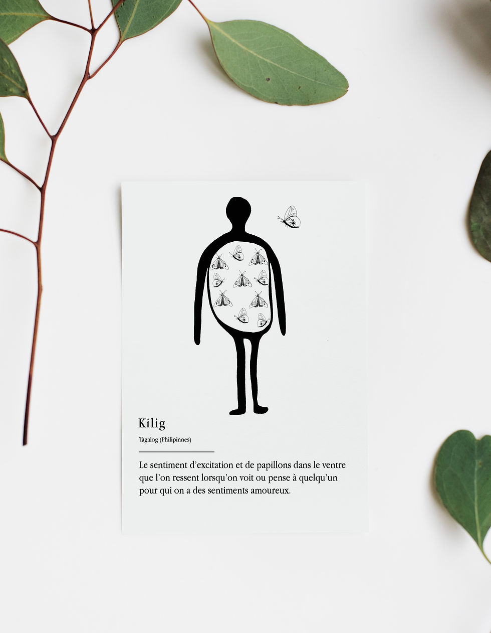 Miniature : KILIG - Les mots du monde