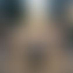 Entre o Caos e o Controle: O Estoicismo no Mundo Contemporâneo