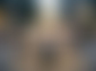 Entre o Caos e o Controle: O Estoicismo no Mundo Contemporâneo