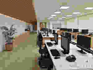 Foto: Reprodução.