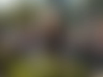 Servir com o Coração: Compaixão Ativa na Vida Integral