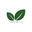 Writer: Plantcare.club