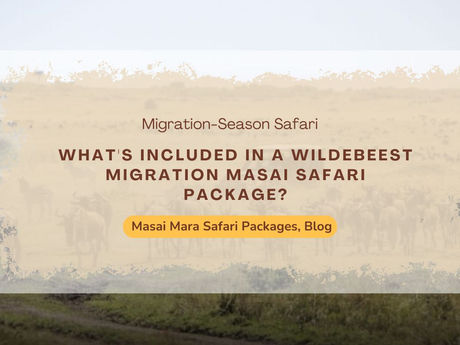Make the Most of Your Great Migration Journey