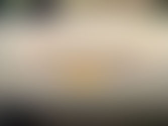 Why Photography Safaris Create Deeper Wildlife Connections