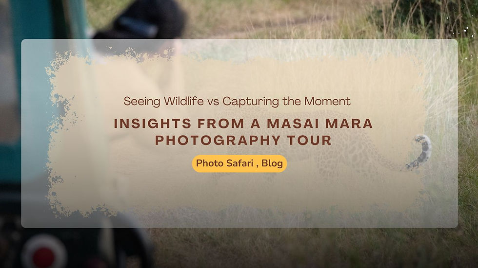 Why Photography Safaris Create Deeper Wildlife Connections