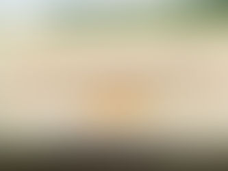 Book Your Stay at Masai Mara Camps