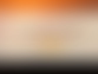 Turning Safari Moments into Portfolio-Worthy Images