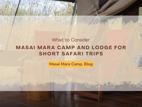 Turning a Short Masai Mara Visit Into a Memorable Safari
