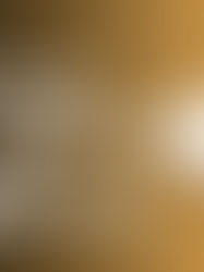 The Importance of Foundation Bolts in Structural Integrity