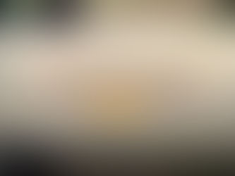 Composition Techniques That Strengthen Wildlife Images