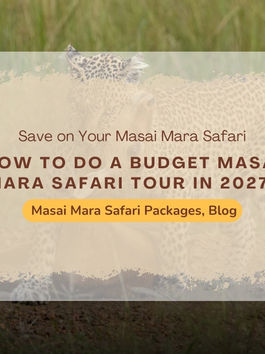 How Do Seasonal Changes Affect Masai Mara Tour Packages?