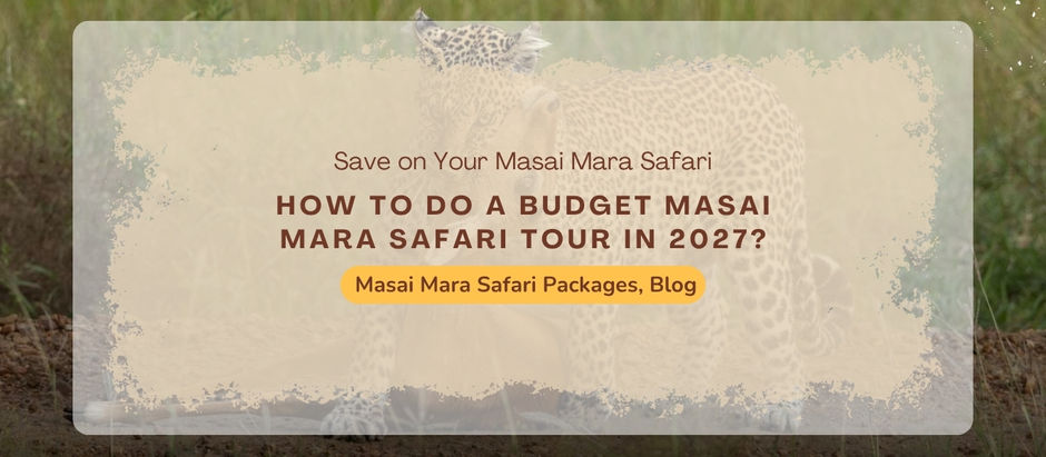 How Do Seasonal Changes Affect Masai Mara Tour Packages?