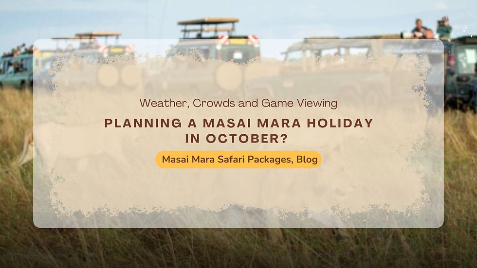 What Should You Check Before Booking a Masai Mara Safari?