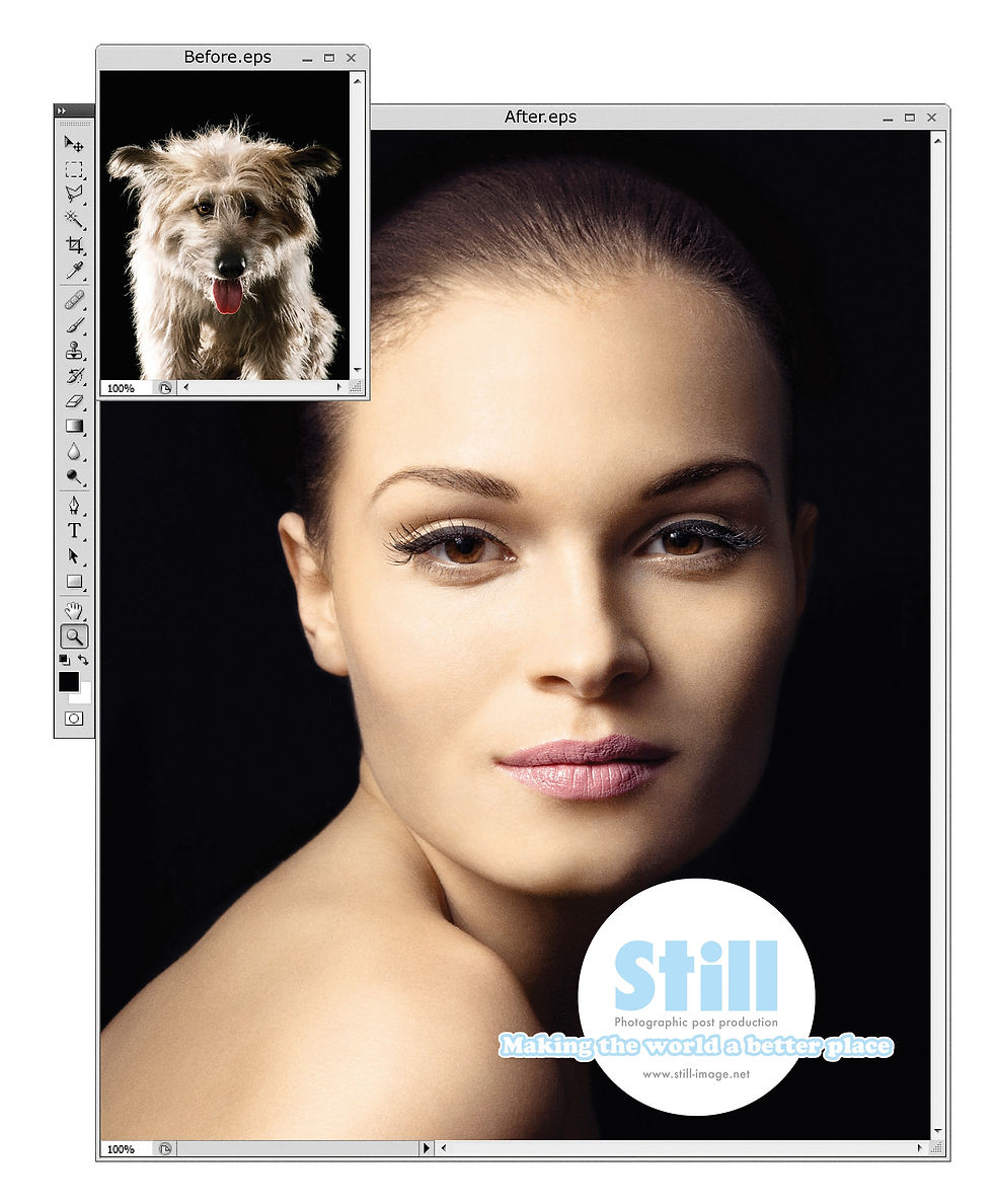 STILL - DOG ad