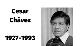 Romper la brecha salarial: ¡Quiero dinero! ¡Todos merecemos dinero!