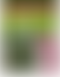 🌿 Spring Health, Earth Day Living & New Collagen Support