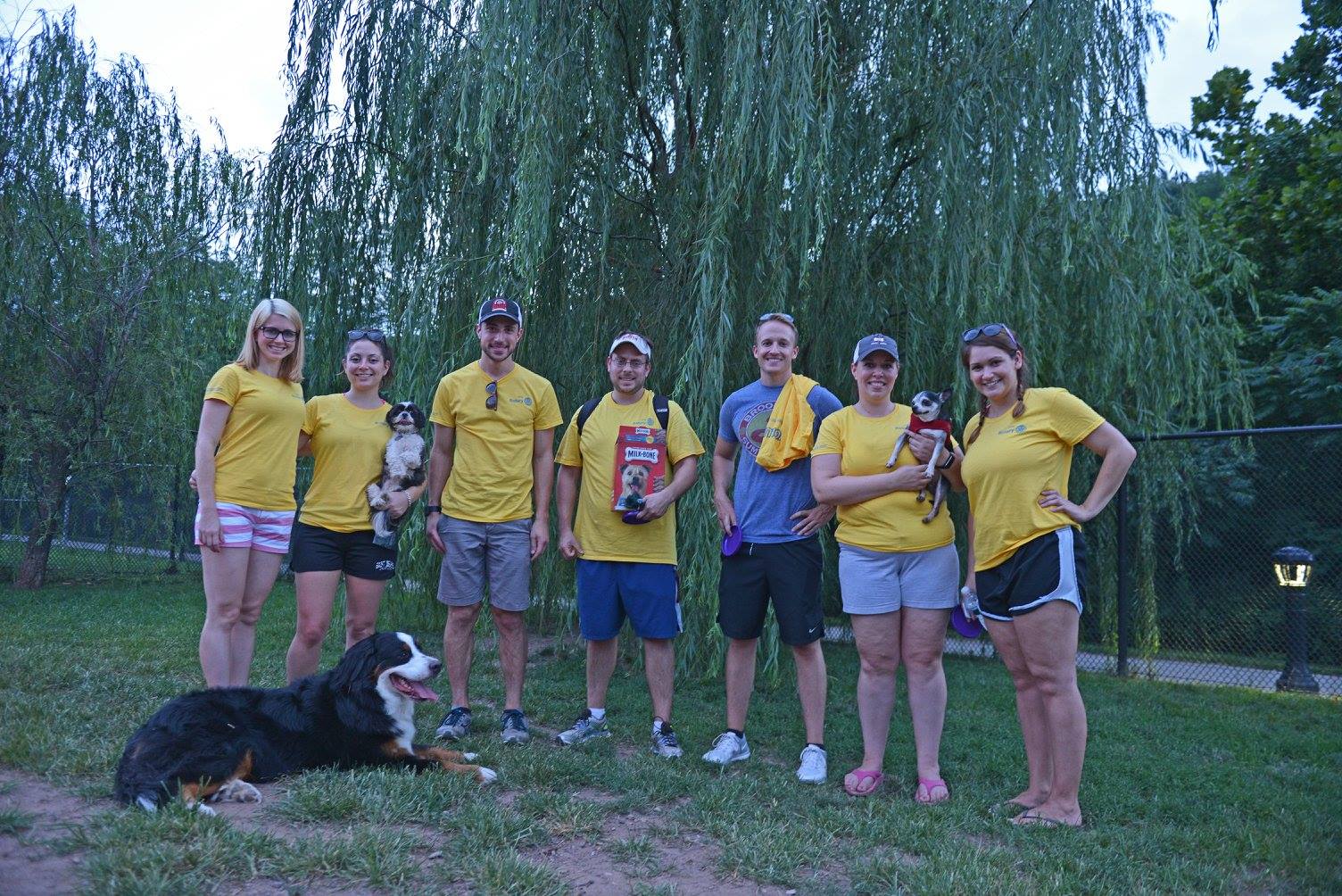 Dog Yoga at Riverside Dog Park