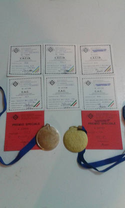 Foto Titoli & Trofei35