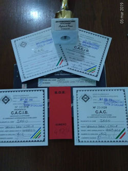 Foto Titoli & Trofei69