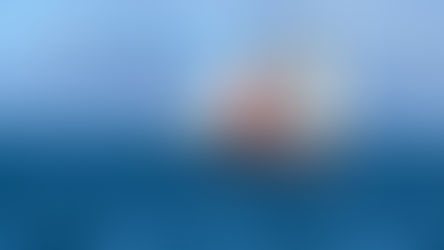 Trébeurden - Roscoff