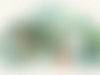 Paediatric Emergency Response Plans That Work