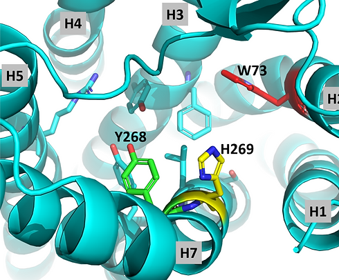 Figure 4.tif