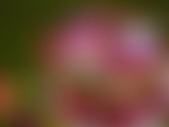 Секреты успеха