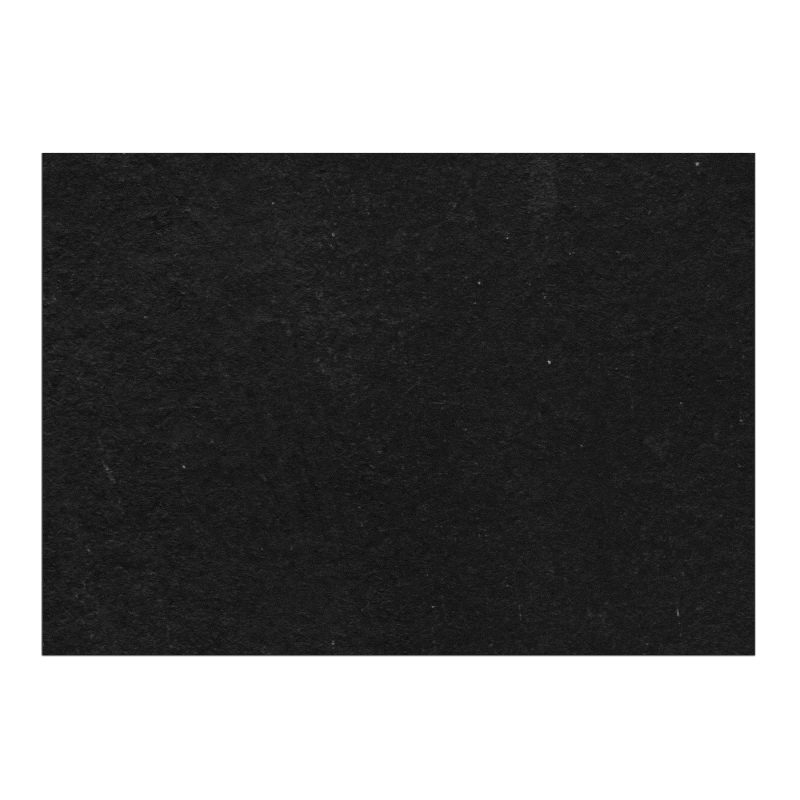 Orca_Logo Animation.gif