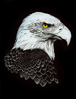 Noble