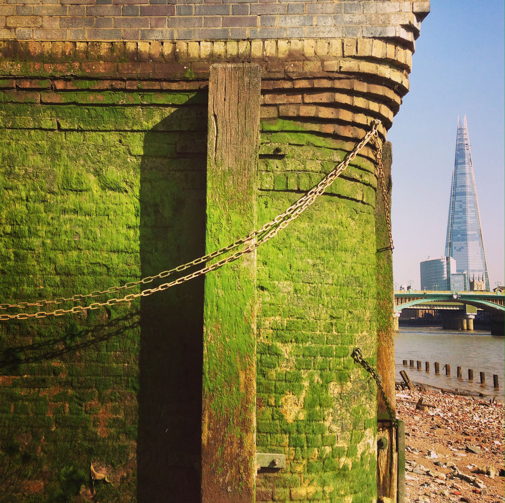 Living in an urban jungle London’s green spaces