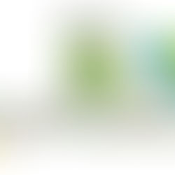 Lakewood Prairie Neighborhood Garage Sale