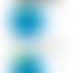 Declaration Survey Results