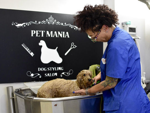 Pet Mania, amore e passione come a casa a Latina